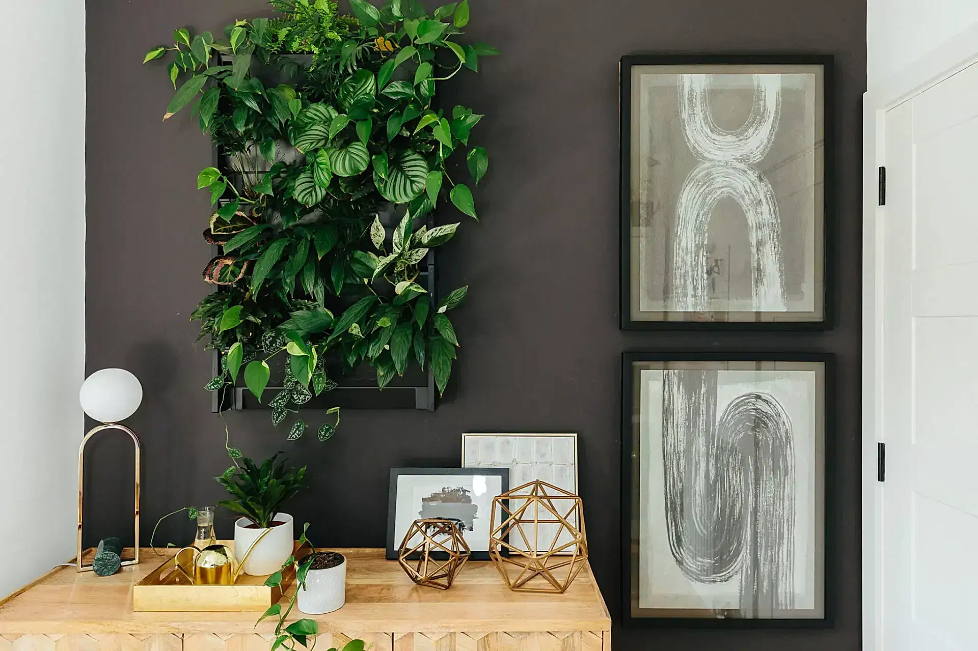 painted wall zoom background