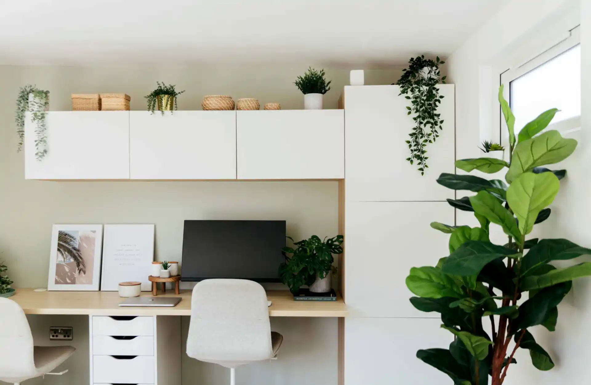 How house plants can boost your mood