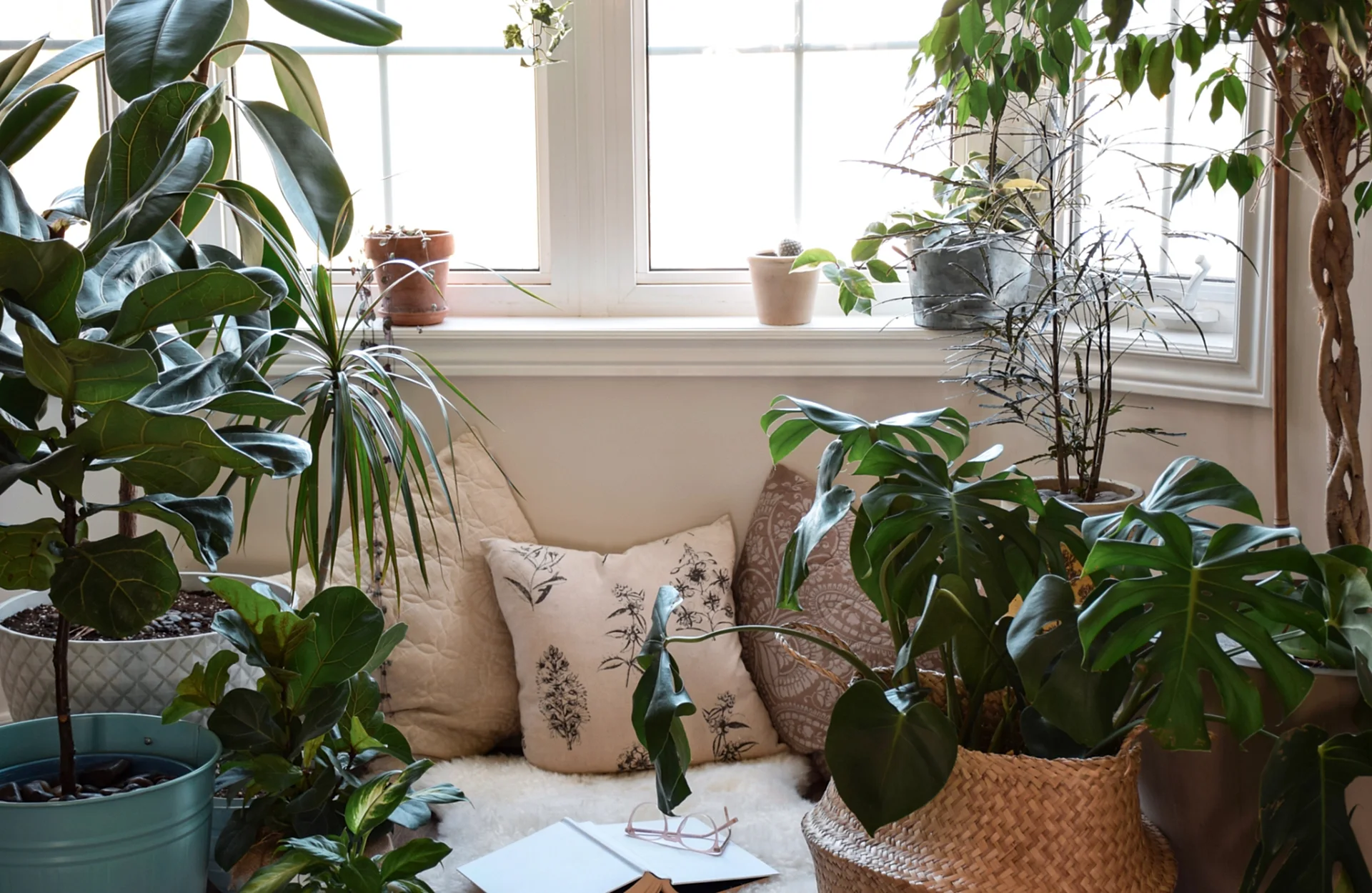 reading nook with plants, pillows and blankets