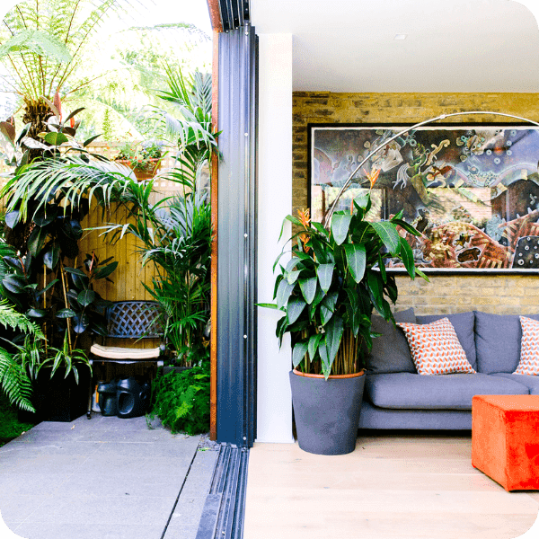 Inspired by nature: How to bring the outside in